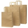 Large Sydney Paper Bags